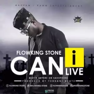 Flowking Stone - Can I Live (Prod by Tubhani Music)